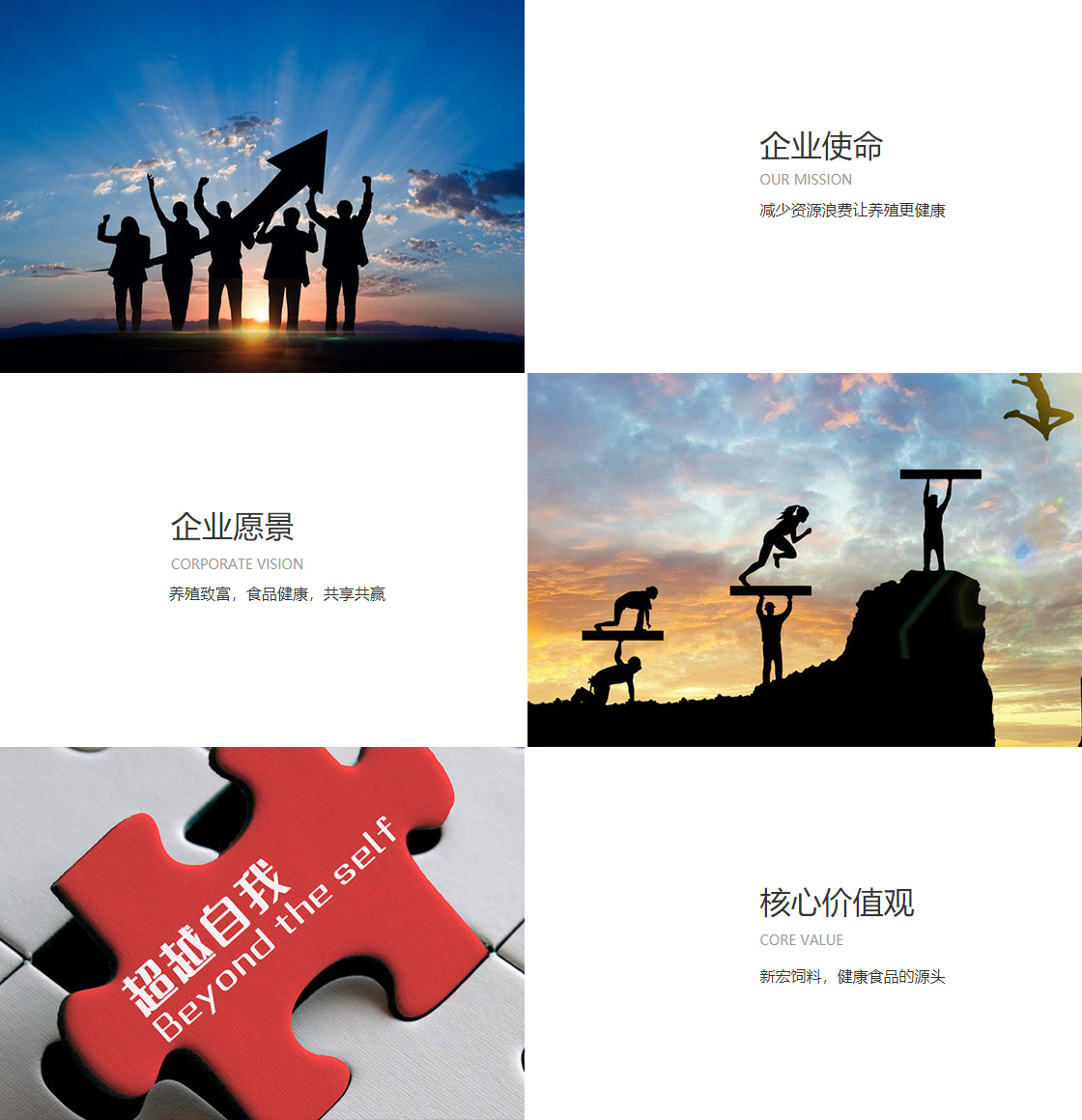 必威中文体育(图1)